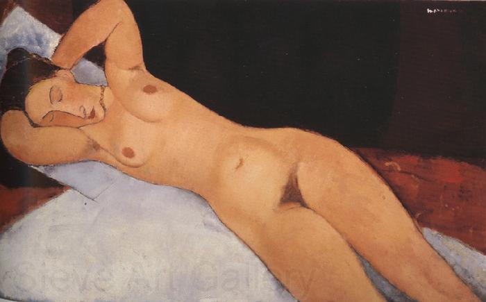 Amedeo Modigliani Nude (mk39) Norge oil painting art